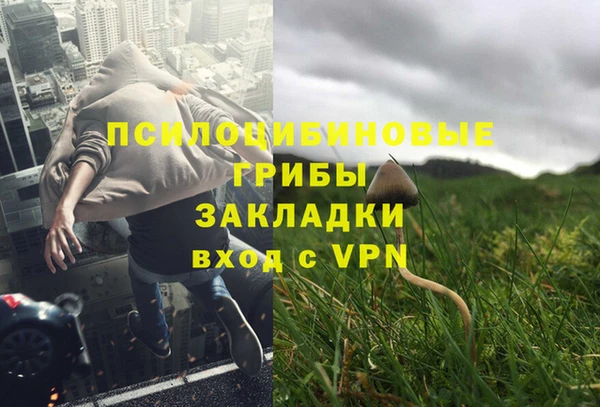 твердый Аркадак
