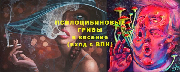 твердый Аркадак