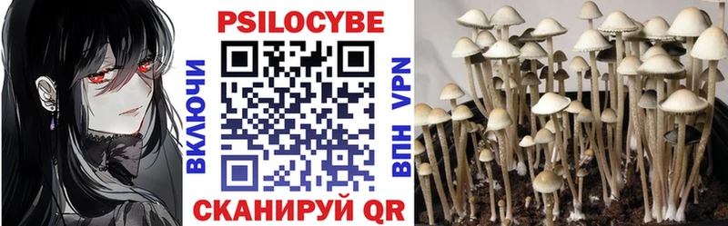 Галлюциногенные грибы Magic Shrooms  Ревда 